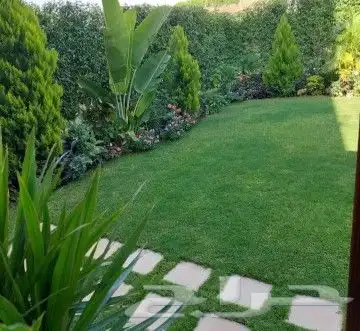 تنسيق الحدائق وتركيب جميع شبكات الري نحن على استعداد تام لتر 12