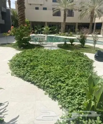 تنسيق الحدائق وتركيب جميع شبكات الري نحن على استعداد تام لتر 9