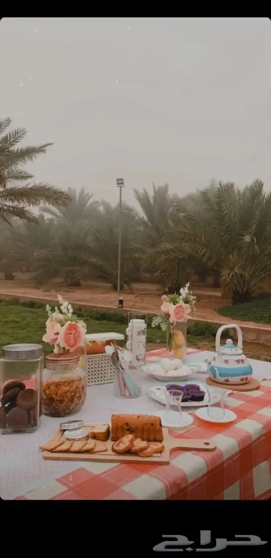 مزرعة واستراحة الريف للايجار اليومي القصيم 0