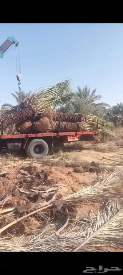 يوجد لدينا جميع انواع تركيب الشبوك من جلفا عادي شايك05070963 7