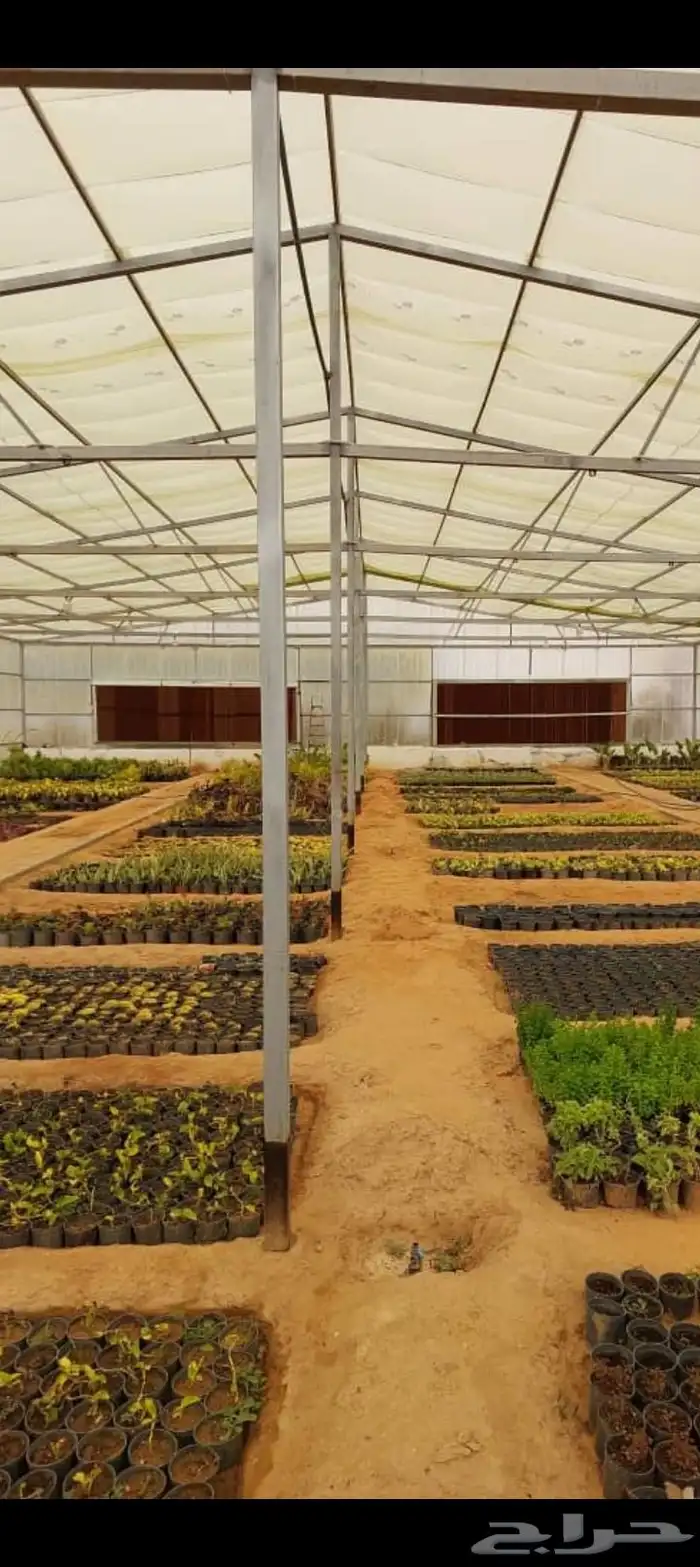 تفصيل خلايا تبريد للبيوت المحميه 10