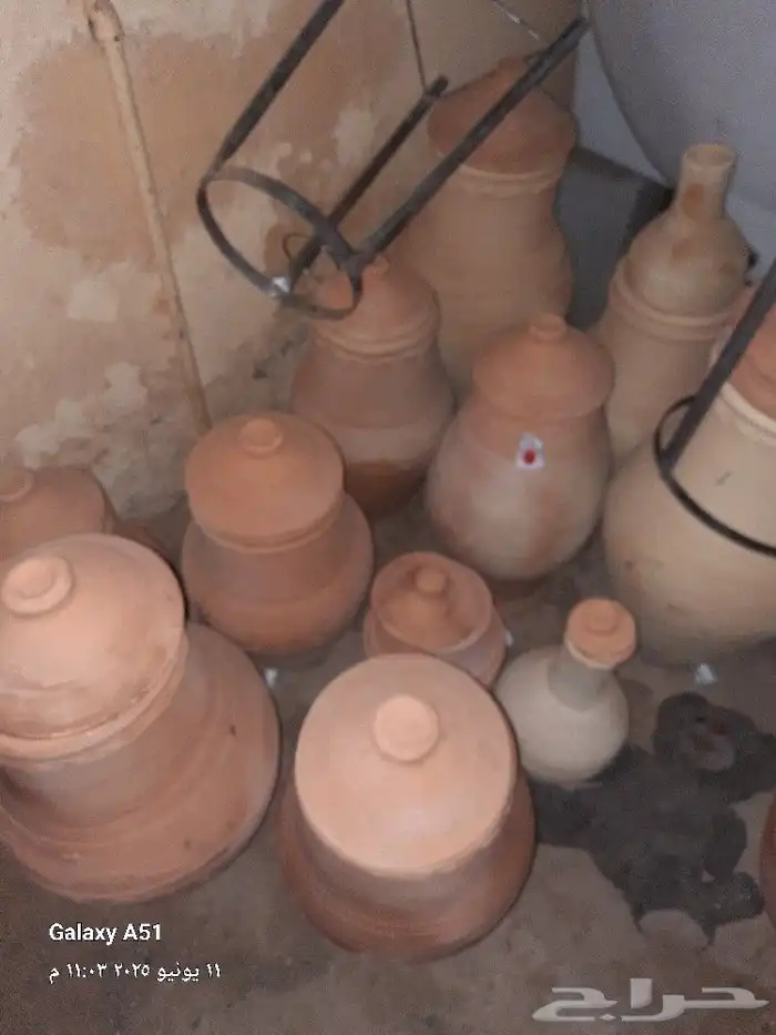 زير من المدينة المنورة 3
