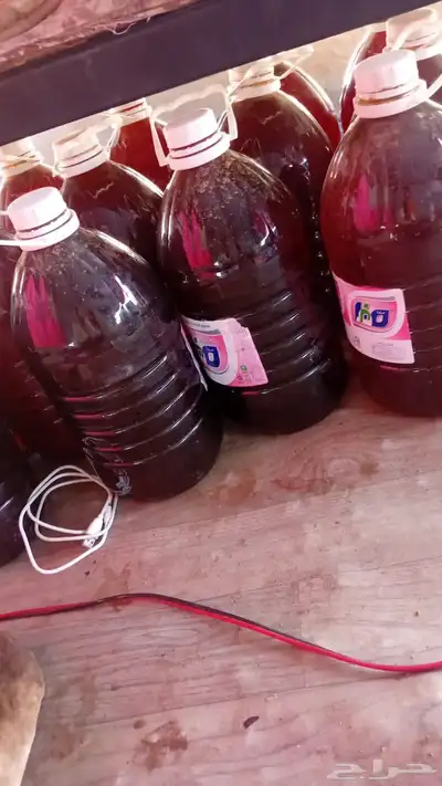 عسل مراعي جبلي ممتاز 0
