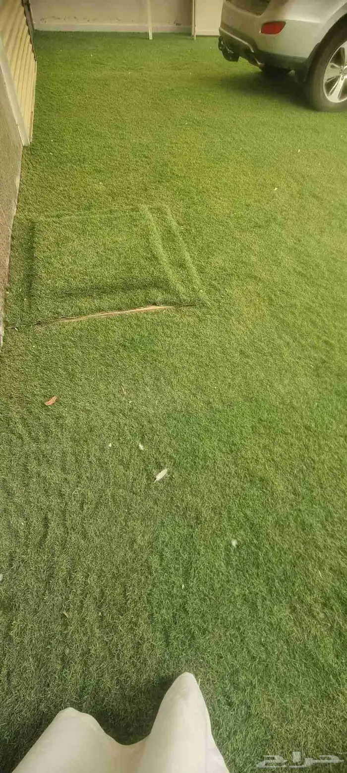 نجيل صناعي نظيف مستخدم اقل من شهر 4