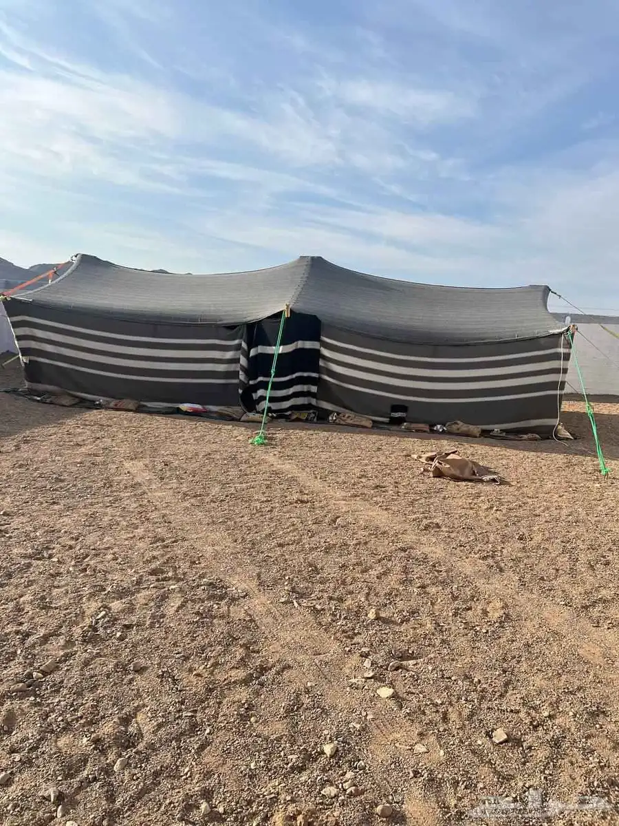 البيع بيت شعر قطبه 9 5 3