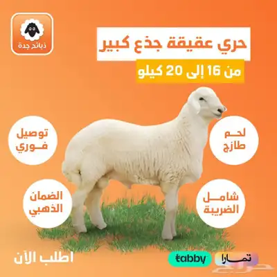 توصيل ذبايح للبيت جده - حري - سواكني - نعيمي - نجدي - تيس 1