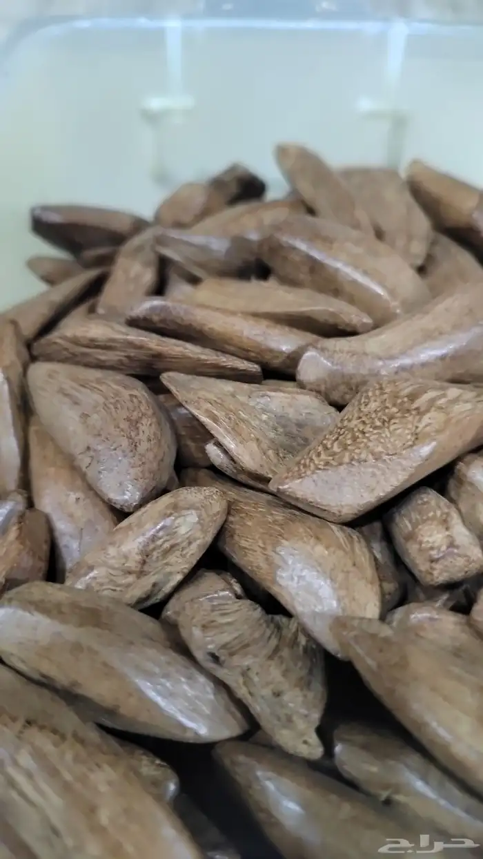مروكي فاخر أوقية 75 0