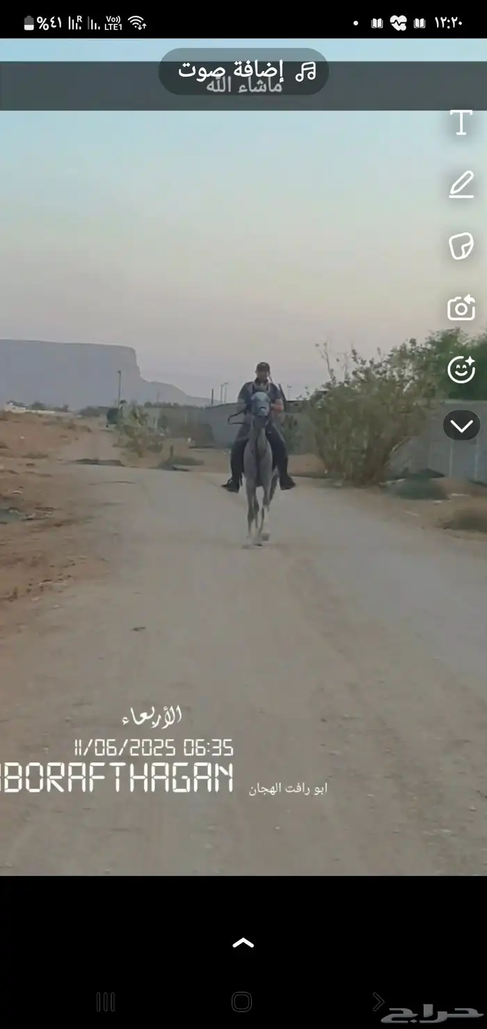 تعليم_الفروسية 6