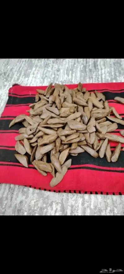 اثاث موقع خميس مشيط 17