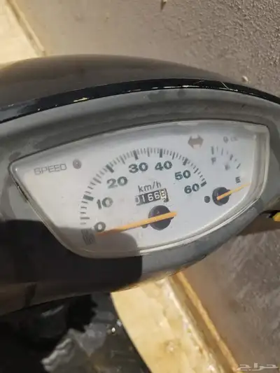 دباب هوندا 1