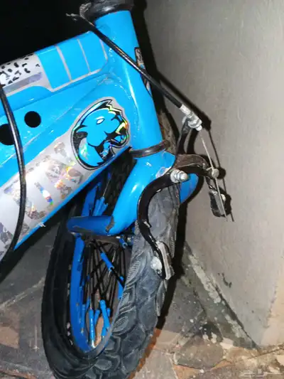 سيكل كوبرا 1