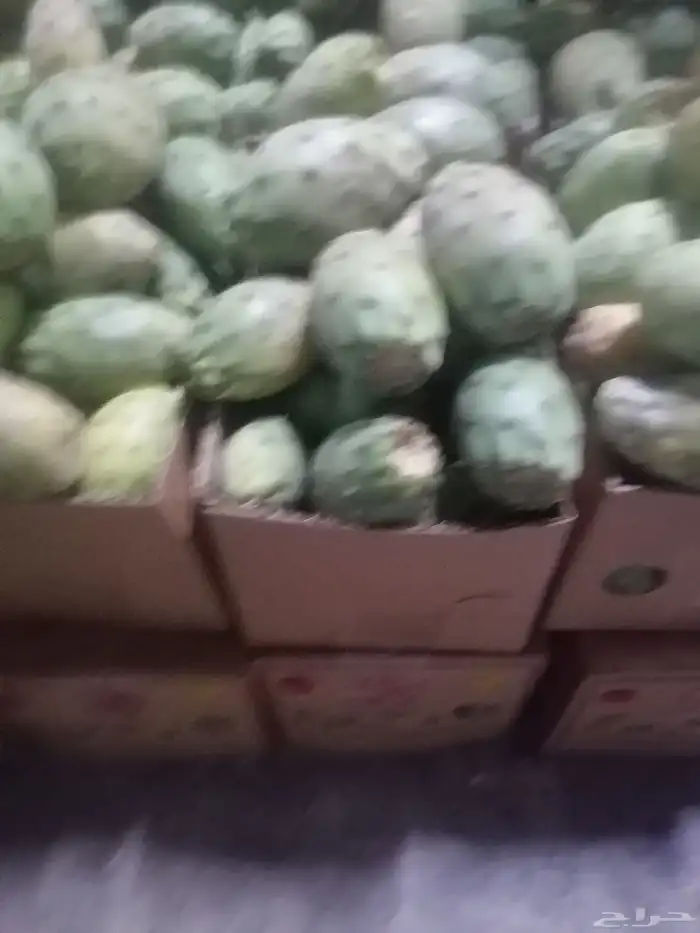 برشومي الشفا مع التوصيل مجاني للمنزل وبخارا سكري الشفا 1