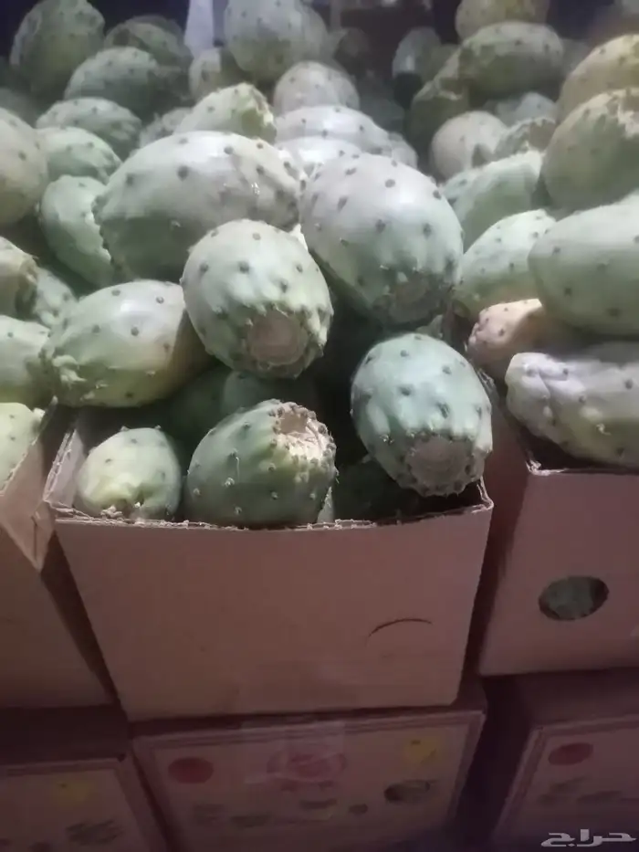 برشومي الشفا مع التوصيل مجاني للمنزل وبخارا سكري الشفا 0