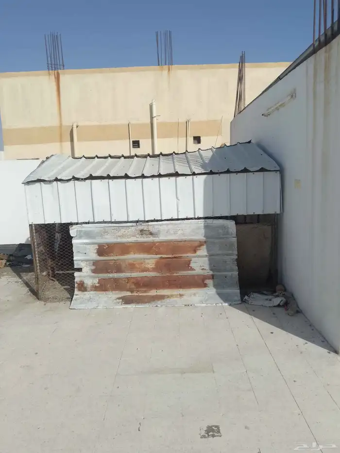قفص دجاج حمام هردان 2