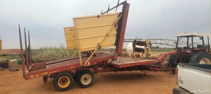 طبرجل بيسطا للبيع لقاط  حرات 3