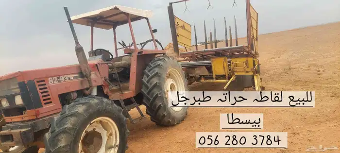 طبرجل بيسطا للبيع لقاط  حرات 0