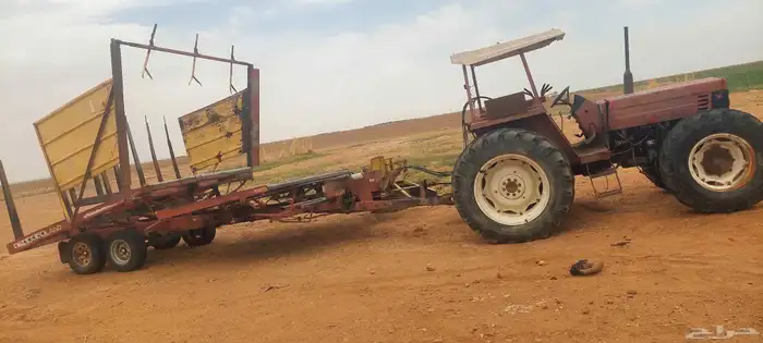 طبرجل بيسطا للبيع لقاط  حرات 1