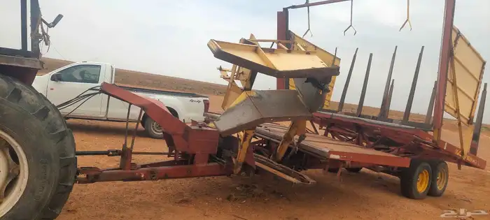 طبرجل بيسطا للبيع لقاط  حرات 4