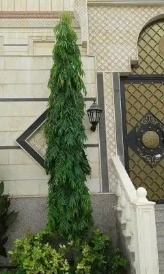 تنسيق حدائق زراعه المراكن زراعه الاحواض عمل شبكات ري 12