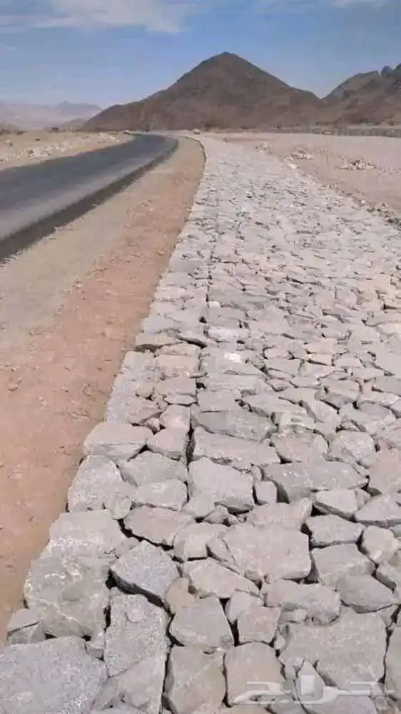 مقاول شبوك ونخيل 6