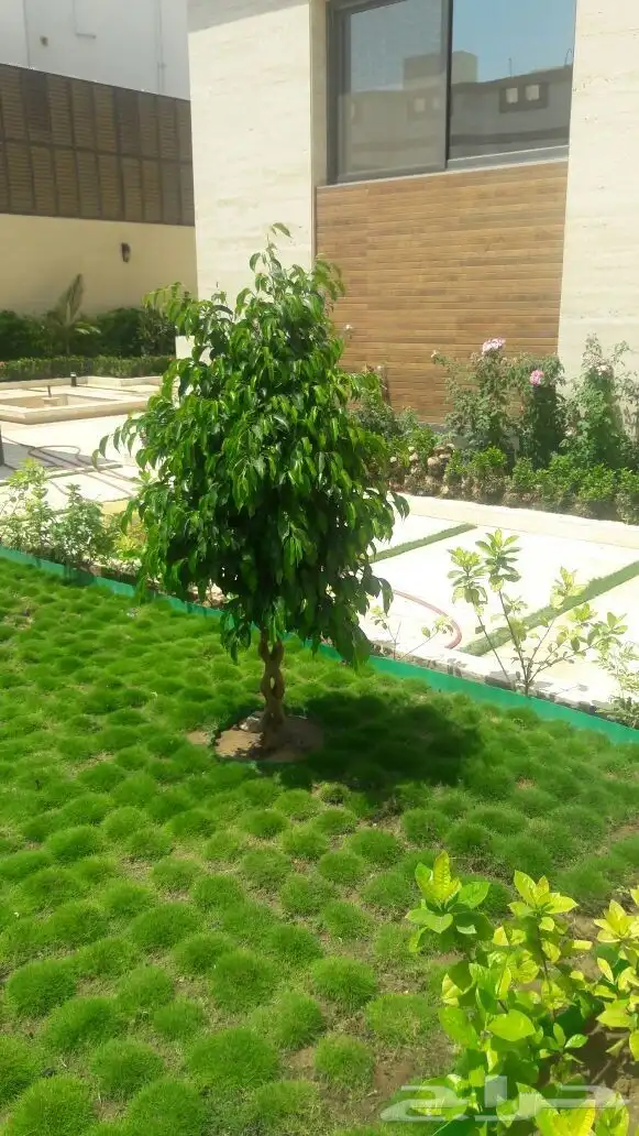 تنسيق حدائق زراعه المراكن زراعه الاحواض عمل شبكات ري 11