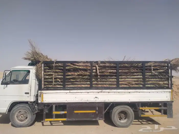 سعف جديد أخضر للعرايش والمظلات 4