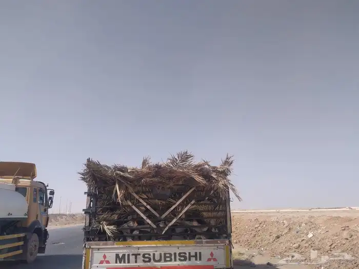 سعف جديد أخضر للعرايش والمظلات 1