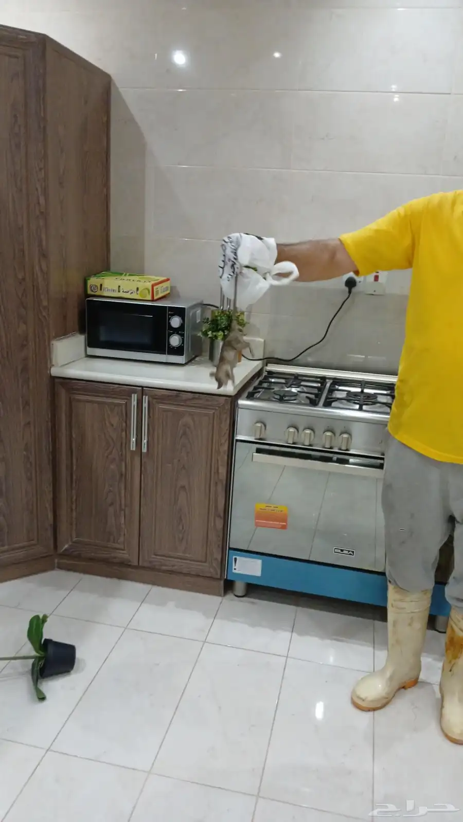 رش حشرات مكافحة حشرات 2