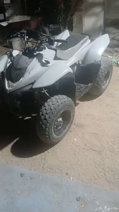 دباب للبيع 2