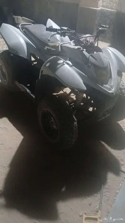 دباب للبيع 1