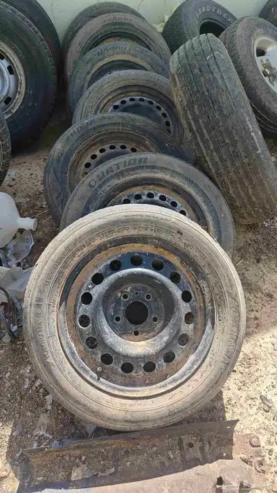 البيع جنوط 15 1