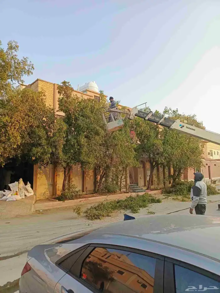 تنسيق حدائق قص اشجار تكريب وترتيب نخيل 9