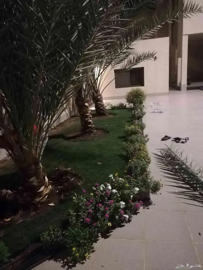 تنسيق حدائق قص اشجار تكريب وترتيب نخيل 5