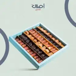 بوكسات تمور 2