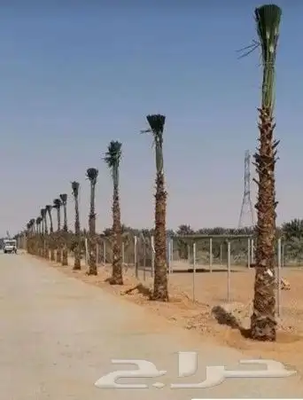 جميع أشغال أنخل تحويض تكريب واشنطن 0
