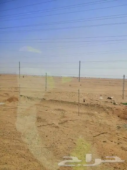 مقاول شبوك و زراعه نخيل 5
