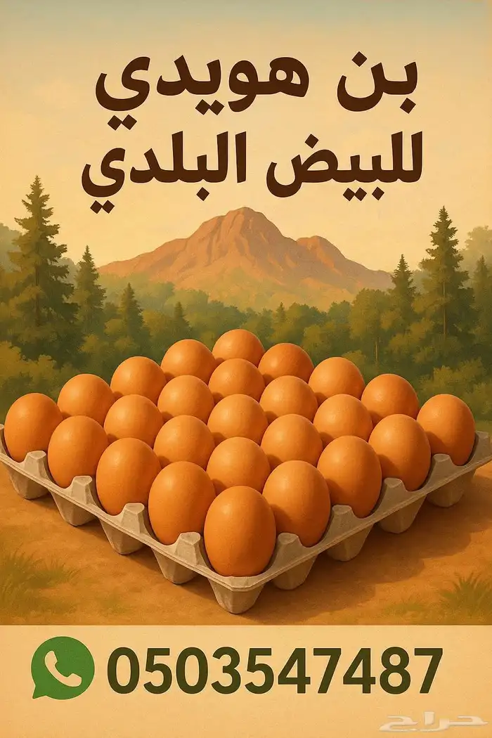 بيض بلدي للبيع 0