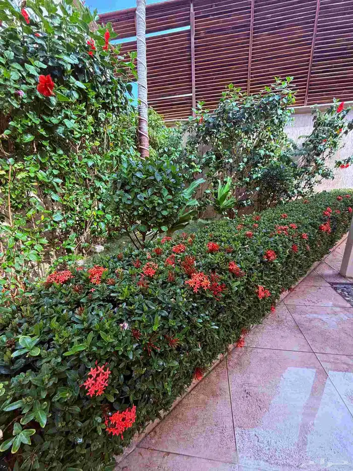 احواض زرع طبيعي 1