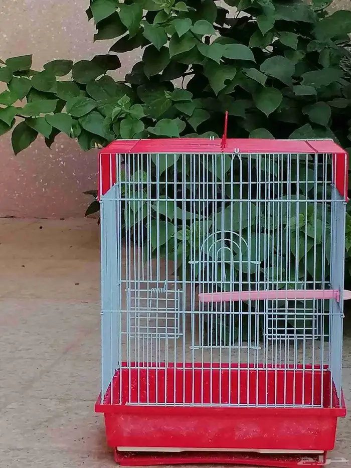 تم البيع... 1