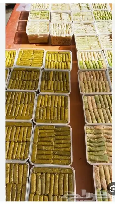 مفرزنات 2