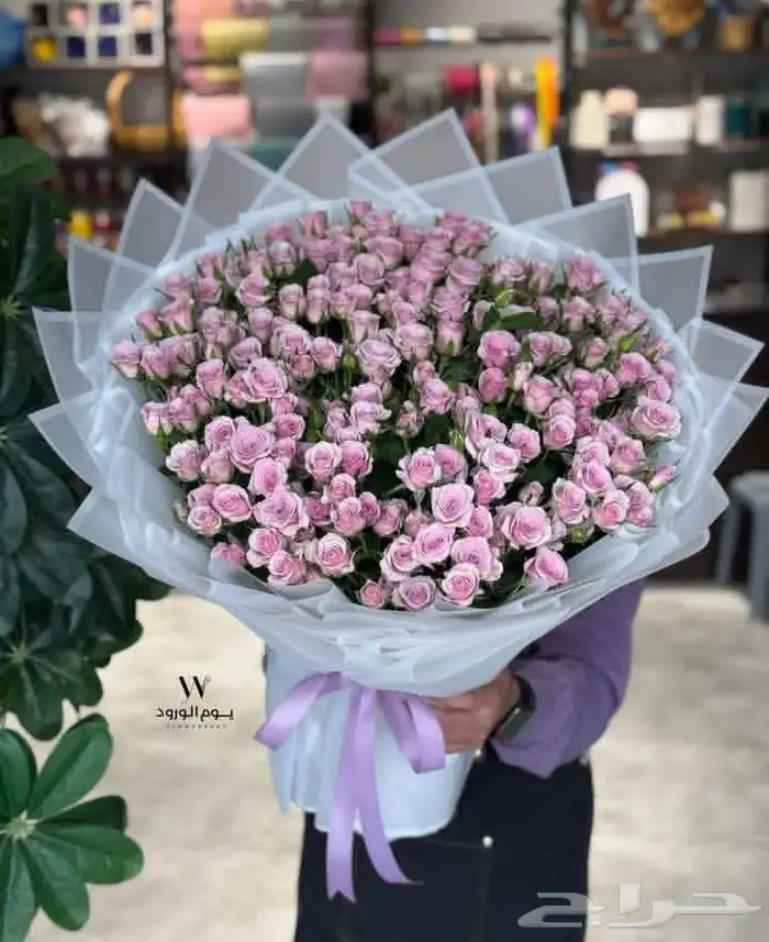 هدايا ابها خميس مشيط احد رفيده وضواحيها 2