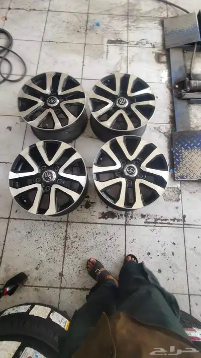 جنوط في اكس ار 1