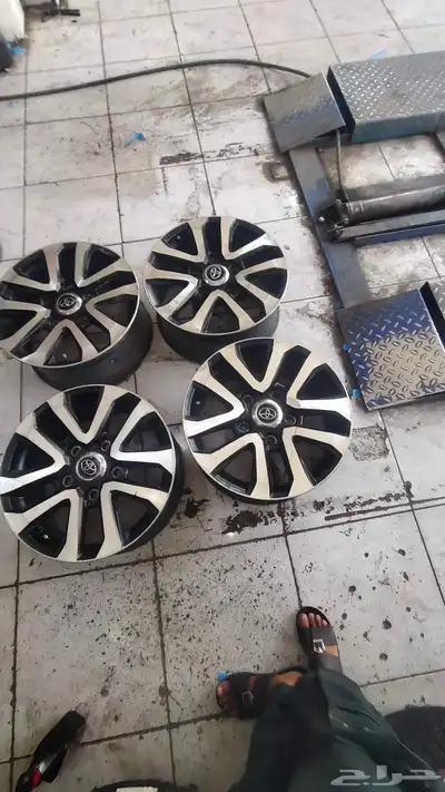 جنوط في اكس ار 2