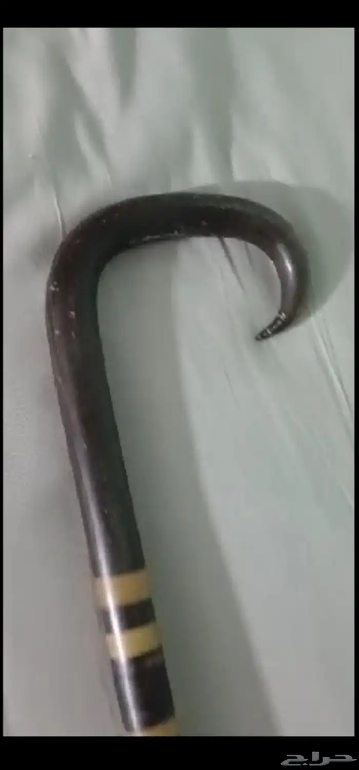 عكاز بفواصل زراف وحيد القرن 0