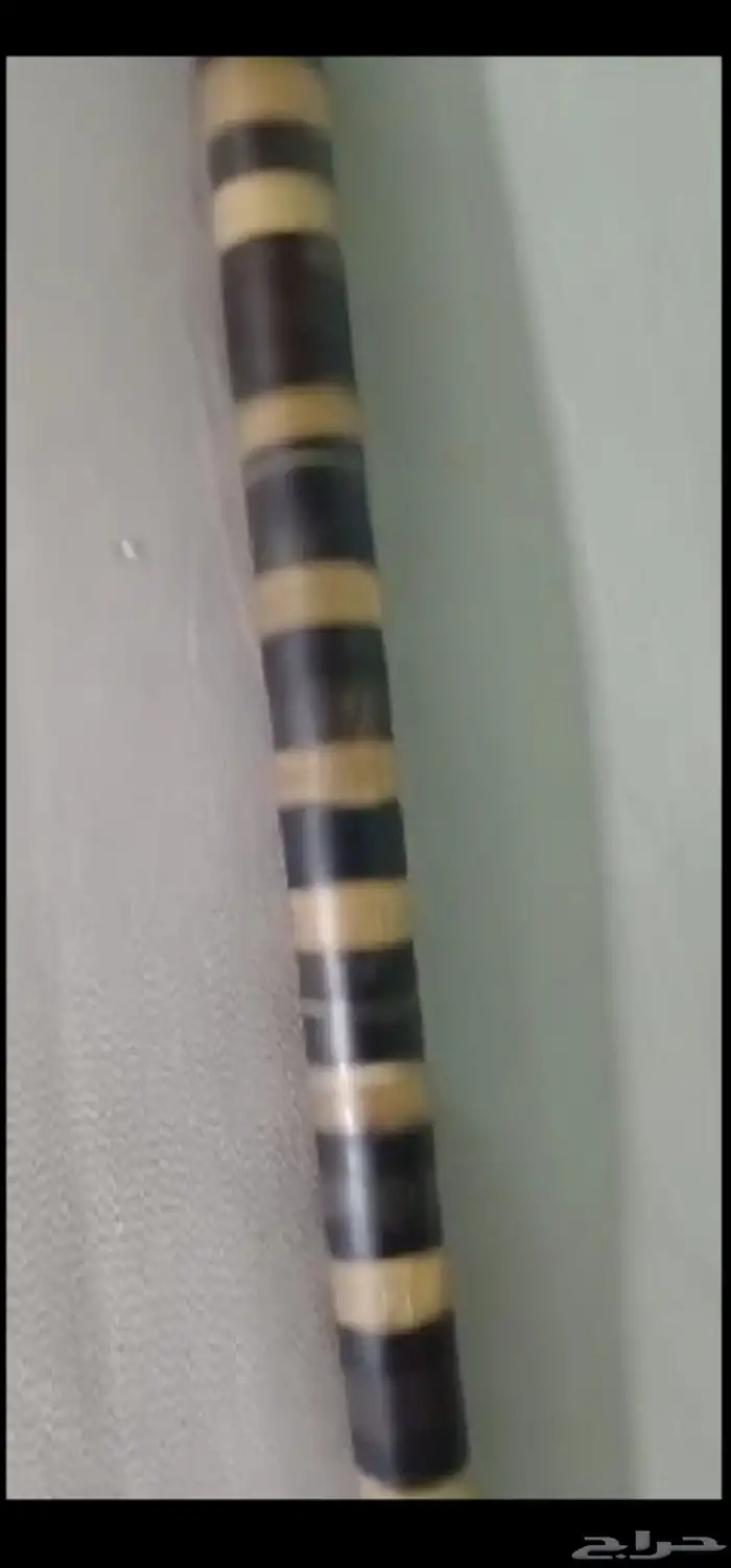 عكاز بفواصل زراف وحيد القرن 1