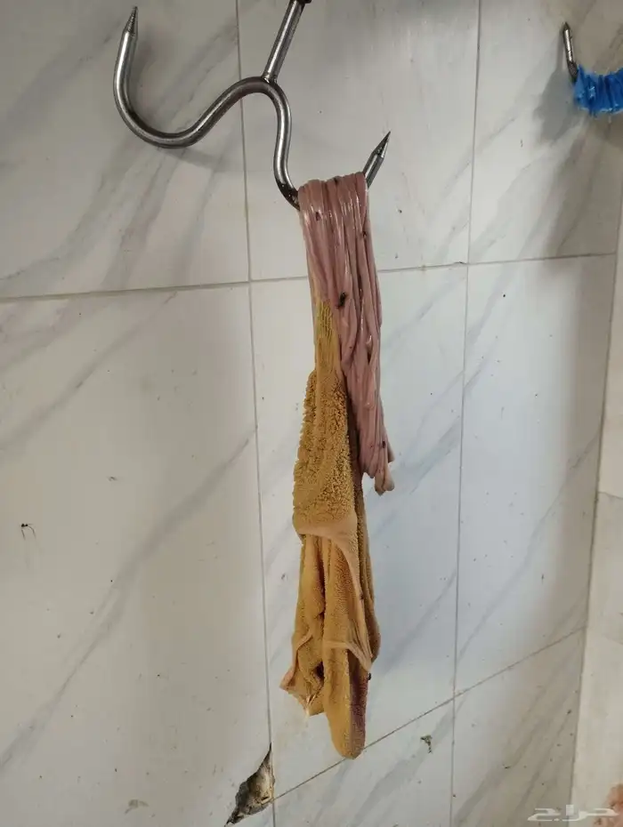 ذبائح ابوخالد 3