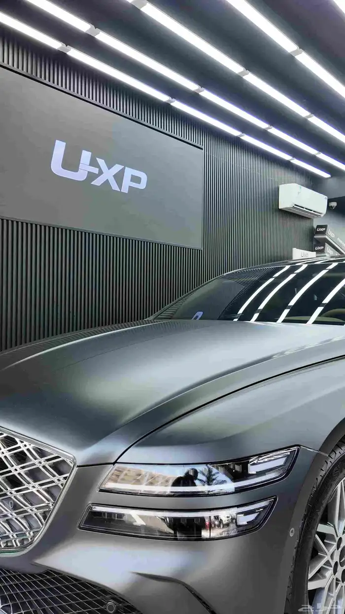 حماية السيارات 4