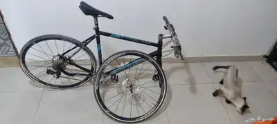 سيكل رياضي مخزن للبيع 1