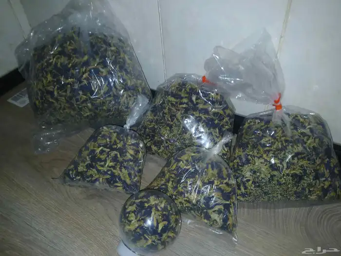 بكجات 2او3او4 أصناف   سدر جبلي   صبار الوفيرا   شاي ازرق 3