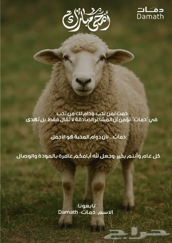 مصممة جرافيك 12